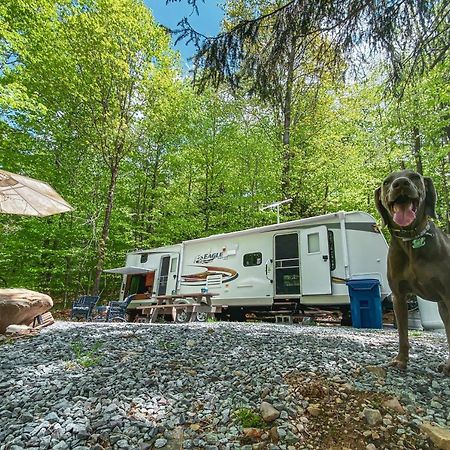 Rv Adventure Roscoe Pet Friendly Hotel ภายนอก รูปภาพ