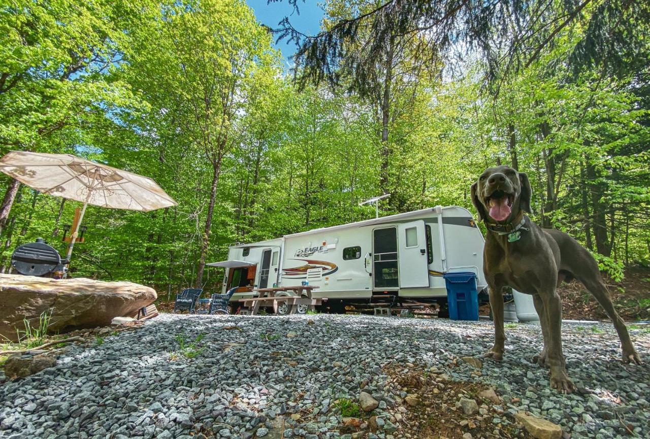 Rv Adventure Roscoe Pet Friendly Hotel ภายนอก รูปภาพ